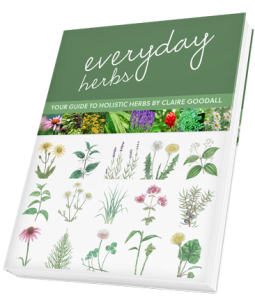 everyday-herbs-book-255x300